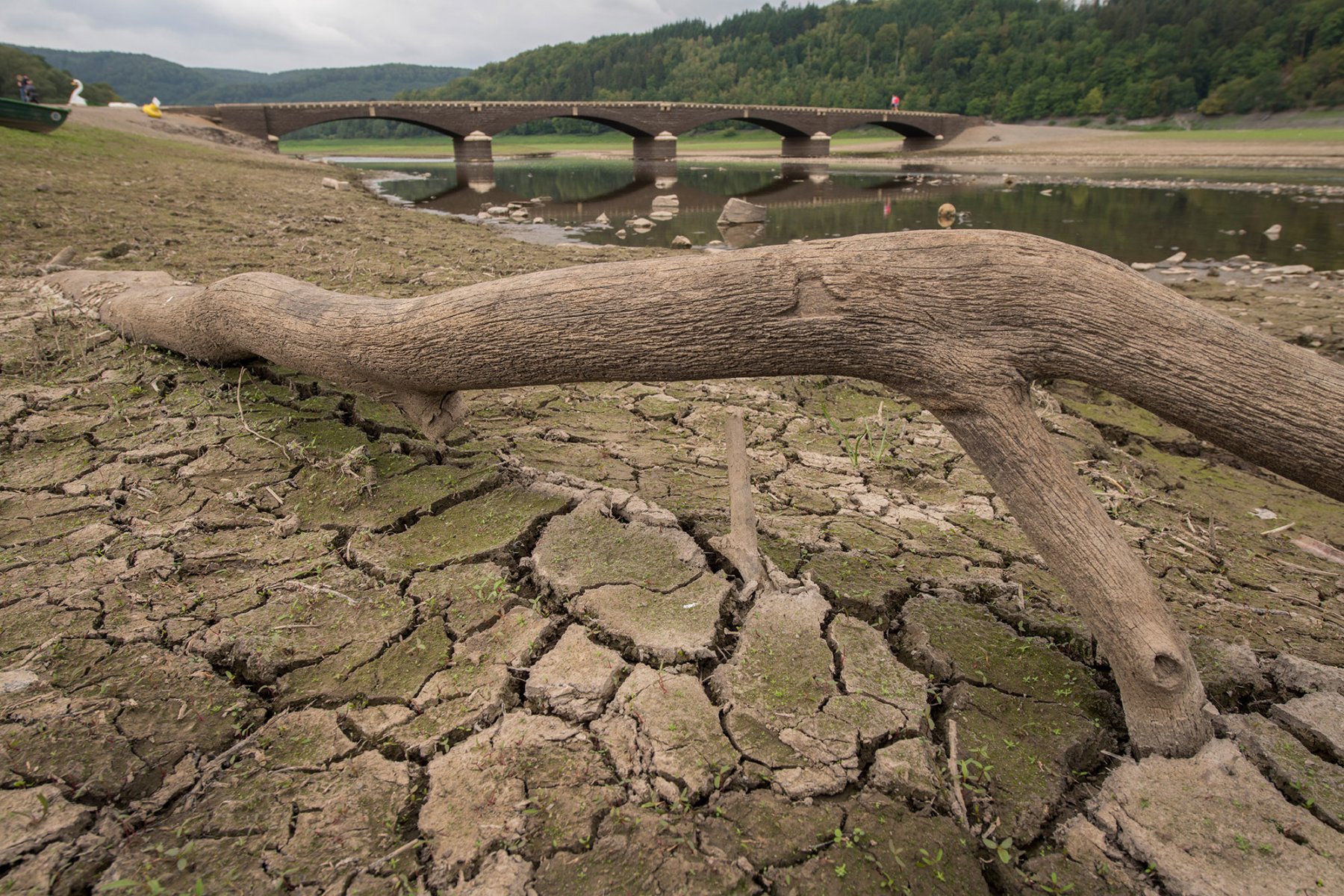 Angeschwemmte Äste und Baumstämme stecken im Schlick an der Aseler Brücke. Die Brücke liegt normalerweise weit unterhalb des Wasserspiegels des Edersees. Monatelange Trockenheit hat die historische Bogenkostruktion jetzt wieder auftauchen lassen und macht sie zur Hauptattraktion des "Edersee-Atlantis".Foto: Boris Roessler/dpa